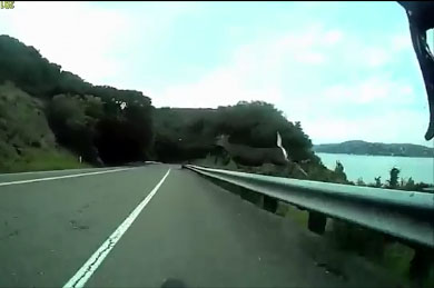 Un cycliste se prend un chevreuil à pleine vitesse