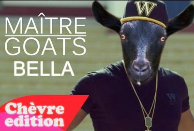 Parodie de la chanson Bella avec Maitre Goats