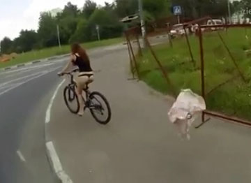 Une cycliste se fait arracher sa jupe