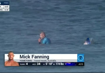 Le surfeur Mick Fanning se fait attaquer par un requin en direct