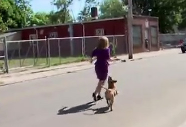 Une femme lache ses chiens sur une journaliste