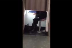 Une femme fait caca dans un photomaton de la gare de Lyon