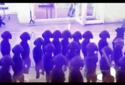 Des caniches clonés dansent à une rave party
