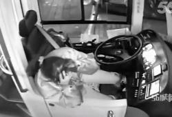 Une conductrice de bus se prend une voiture et s'évanouit