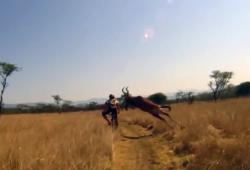 Evan Van der Spuy rentre dans une antilope à vélo